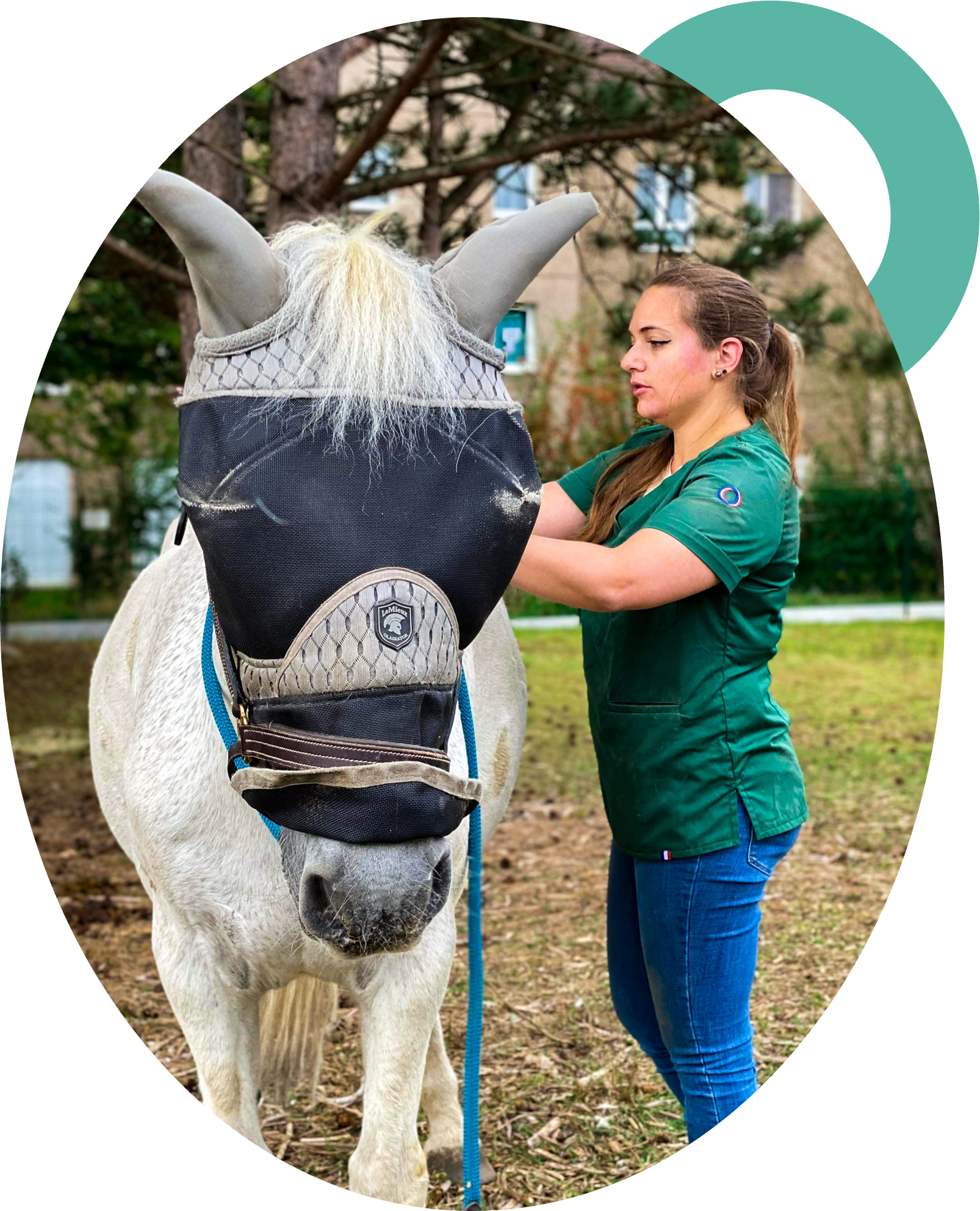 Ostéopathie vétérinaire consultation animal cheval poney âne Pauline Bourdette